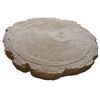 Concrete Mold Stepping Stone Mold Wood Log WS 5901/2