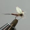 TIEMCO Shimazaki Fly Wing V #05 White