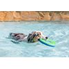 Chuckit Zipflight Flying Disc Dog Toy, Medium (8.5"), Orange or Blue or Green (assorted)