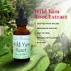 Best Botanicals Wild Yam Root Extract 1 oz.