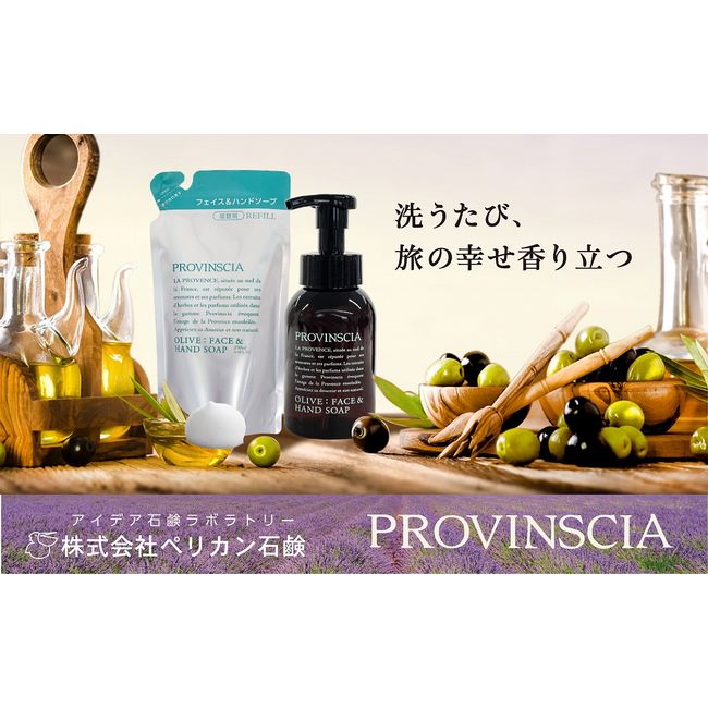 [Hometown Tax] [Southern French Olive Scent] Provencia Hand Soap Set [11218-0552]