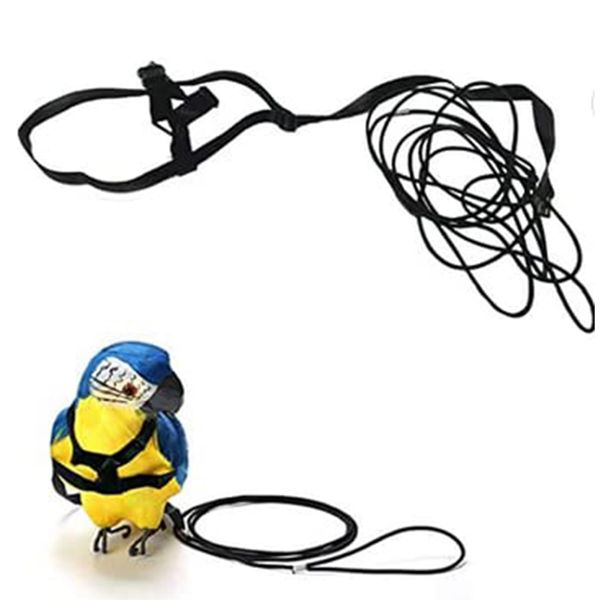 ASOCEA Bird Parrot Harness Leash Adjustable Anti-Bite Flying Training Rope Pet Outdoor Traction Lead for Budgerigar Lovebird Cockatiel Mynah Small Birds - Black