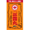 【第2類医薬品】イヅミ正露丸 260粒