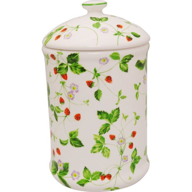 Royal Arden Sanitary Box Corner Pot Strawberry 39273