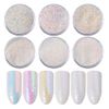 YESLADY White Holographic Sequins 3D Nail Art Glitter Powder Manicure Decoration 6 Pot 6 Count (1 Pack) 6 Colors White Mini Sequins