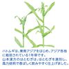 Yamamoto Kampo Seiyaku value Hatomugi 15g x 32 packets