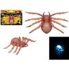 PMS Spider, One Size