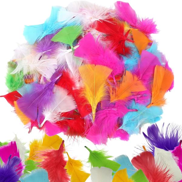 Kids B Crafty Feathers - 250 PCS Vibrant Coloured Feathers for Crafting, DIY Projects, Costumes, Feather Decorations, and Holiday Supplies - Perfect for Kids and Adults