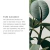 pH Pure Repair Shampoo 100 ml