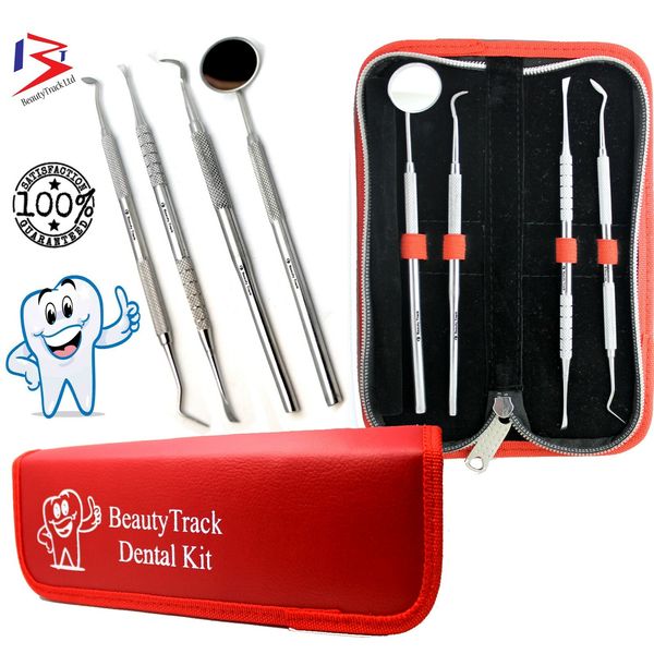 Dental Plaque Remover Set Tooth Cleaning Kit Dentist Scaler Calculus Pick Tools