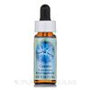 Flower Essence Services Supplement Dropper, Cerato, 0.25 Fluid Ounce