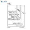 Max (Max) pinneiru p25 °F3 Cha