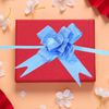 M METERXITY 100 Pack Pull Bows - Rose Pattern Present Wrap String Bow Ribbon, (10" Blue)