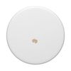 Ich liebe C Food Cake Chips Candy Chocolate PopSockets Klebender PopGrip