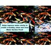 Hozelock Cyprio Green Machine 2500 Pond Filter Foams Replacement , 3 Pack
