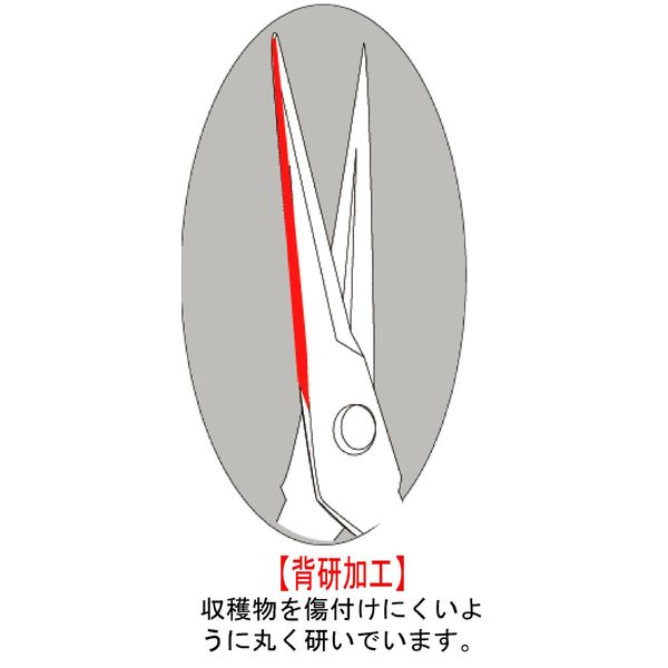 tikamasa 摘果 Scissor T – 500
