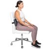 The Original McKenzie Slimline Lumbar Support by OPTP (705)