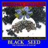 BLACK CUMIN SEEDS No Additives Max High Potency 100 Vegetarian Capsules