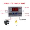12V High Precision Digital Intelligent Temperature Controller Thermostat Reptile With Sensor