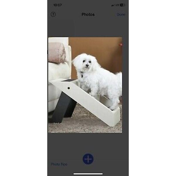 Etna Plastic Folding Pet Steps