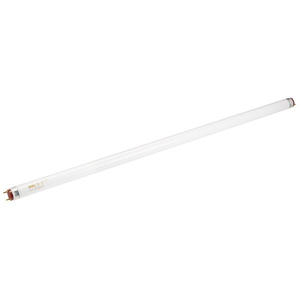 DN Writing Ace Line Slim Fluorescent 50 ~ 60 cm