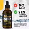 Mullein Drops for Lung Cleanse – Powerful Herbal Leaf Extract – Respiratory Deto