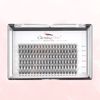 Glowingwin Individual Lashes Cluster Lashes 120 PCS Natural Look False Eyelashes Individual Soft DIY Lash Extensions At Home(20D Mix8-14mm 0.07C Curl)