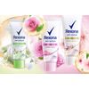 まとめ買いセット　Rexona レクソナ　女性用デオドラントクリーム　ドライセラム　 50ml × ６個セット　ローズ　［海外直送品］ [並行輸入品]