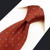 S&W SHLAX&WING Ties for Men Orange Dark Copper with Floral Pattern Classic Size