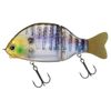 Daiwa Gradient 147F Raw Gill Bus Lure
