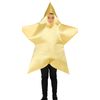 Child's Star Costume (3-4 years 98-104cm)