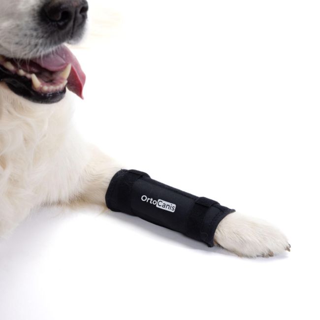 Ortocanis - Carpal Support for Dogs with Arthrosis, Ligament Injuries or Unstable Carpus, Size S