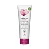 Derma E Purifying Daily Detox Charcoal Face Scrub 4 Ounce Exfoliator