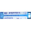 BOIRON Lachesis Mutus 30 C, 80 CT