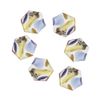 Bonnail & RieNofuji Stellapis Sea 6P