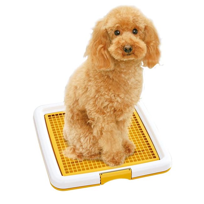 Dog Potty Dog Toilet Tray for Puppies Small Dogs and Cats Floor Dog Pad Holder Easy to Clean Training Dog Toilet Tray Pet Toilet Washable