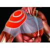 shoulder support while sleeping