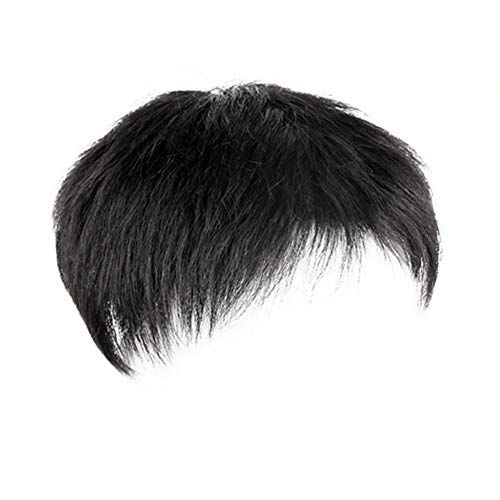 Remeehi Men's Wig, Hairpiece, Men's Wig, Point Wig, Human Hair Wig, Short Hair, Straight, Hidden Gray Hair, Forehead Cover, Top of Head Cover, Middle Aged Wig, Artificial Scalp, Pull, Hand Planted Wig