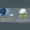 Midori Anzen SC-19PCLV RA3 α Helmet