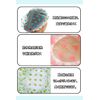 LIKENNY Shower Cap, Waterproof, Bath Cap, Hair Cap, Cute, For Shower, Bath, Hot Springs, SPA, Cooking, Facial Washing, Hair Dye, Makeup Hat, Reusable, Set of 6