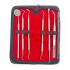 Premium Dental Instruments Scaler Tools Teeth Cleaning 6pc Oral Hygiene Deep Kit