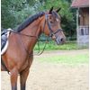 Kerbl Martingale Auxiliary Reins with Stopper