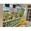 Automatic Solar Drip Irrigation Kit, 6 Timing Modes-Perfect For Porch Or Garden 