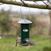 Fallen Fruits Birdfeeder with Zinc Cap - Dark Green