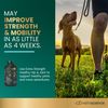 VetriScience Glycoflex 3 Clinically Proven Hip and Joint Supplement for Dogs - Maximum Strength Dog Supplement with Glucosamine, MSM, Green Lipped Mussel & DMG - 120 Chewable Tablets, Chicken Flavor​