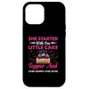 iPhone 13 Pro Max Cake Decorator Tools Kit Set Supplies Cake Decorating Artist Case