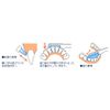V – 7 Buoy Seven Compact Head Pack of 1 bule