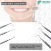 10 Pcs Oral Hygiene Kit Plaque Remover Professional Dental Picks Set for Teeth, Double & Single Ended Picks for Gum Care Cleaning Set Stainless Steel with Carrying Case