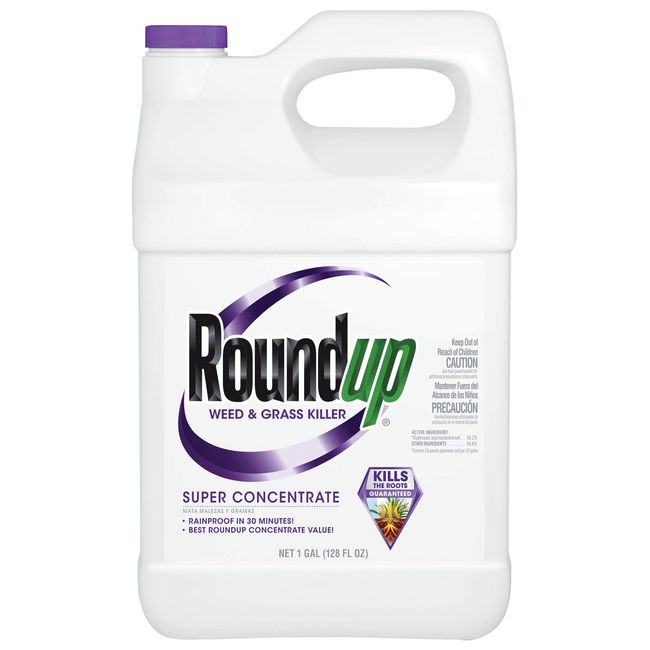 Roundup Super Concentrate Weed & Grass Killer, 1 gal.