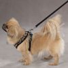 East Side Collection Polyester Plush Leopard-Print Dog Harness, Medium